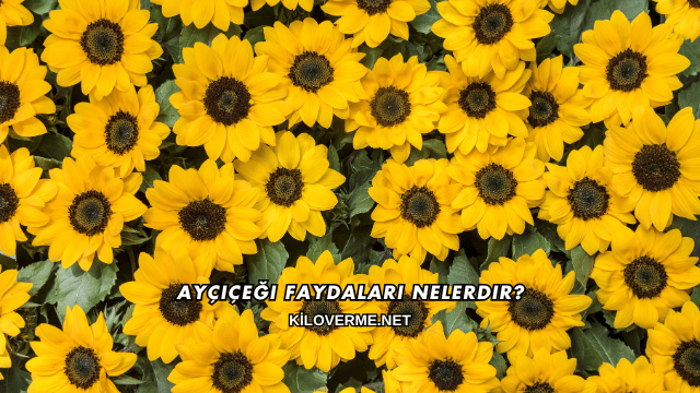 Ayçiçeği Faydaları Nelerdir?