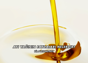 Ayı Yağının Faydaları Nelerdir?