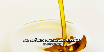 Ayı Yağının Faydaları Nelerdir?