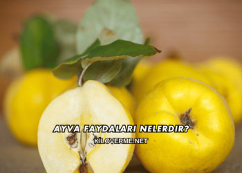 Ayva Faydaları Nelerdir?