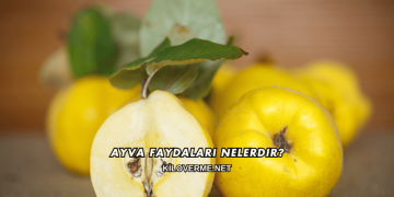 Ayva Faydaları Nelerdir?