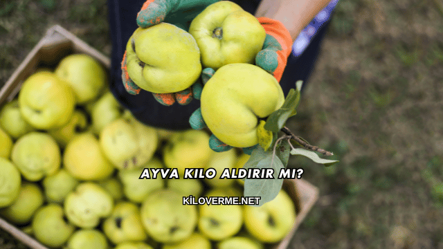Ayva Kilo Aldırır mı?