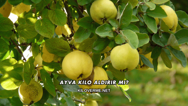 Ayva Kilo Aldırır mı?