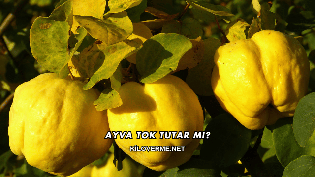 Ayva Tok Tutar mı?