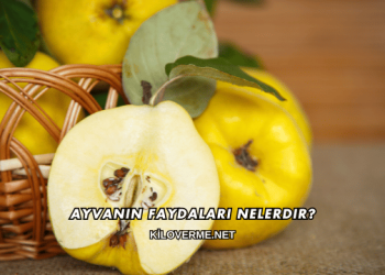 Ayvanın Faydaları Nelerdir?