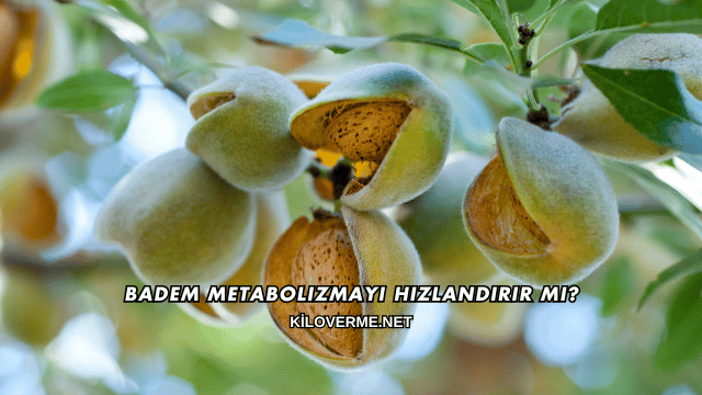 Badem Metabolizmayı Hızlandırır mı?