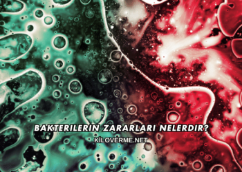 Bakterilerin Zararları Nelerdir?