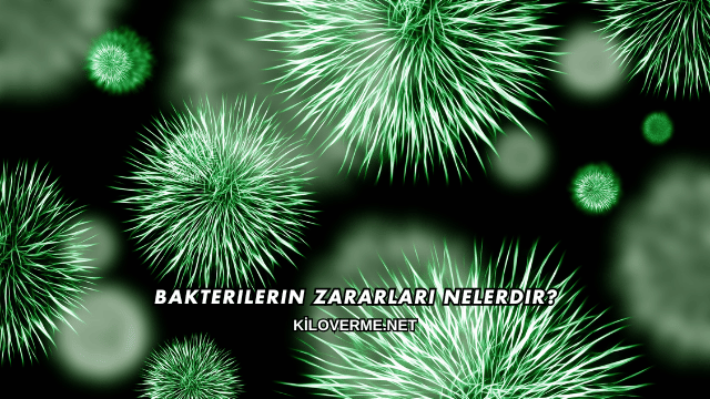 Bakterilerin Zararları Nelerdir?