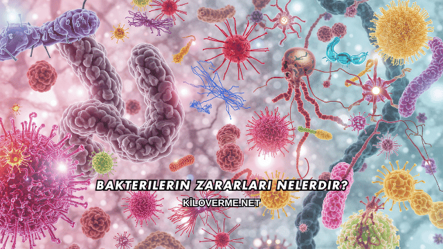 Bakterilerin Zararları Nelerdir?