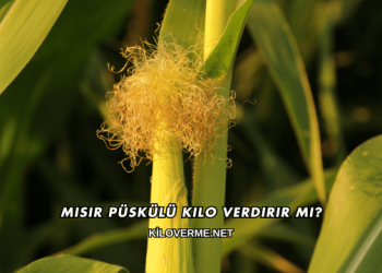 Mısır Püskülü Kilo Verdirir mi?