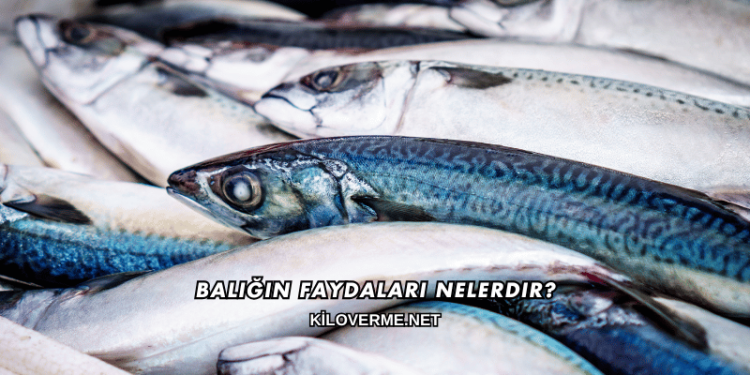 Balığın Faydaları Nelerdir?