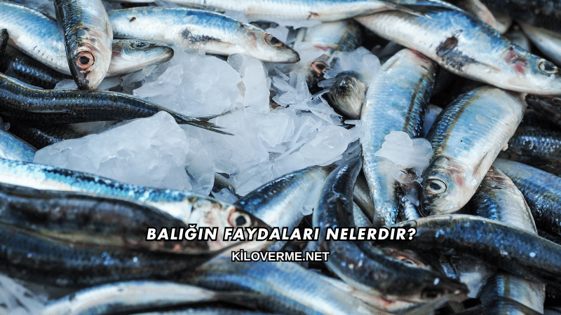 Balığın Faydaları Nelerdir?
