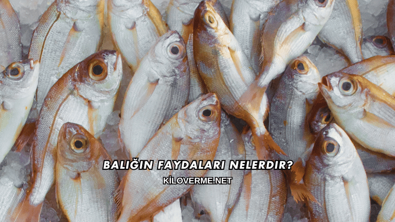 Balığın Faydaları Nelerdir?
