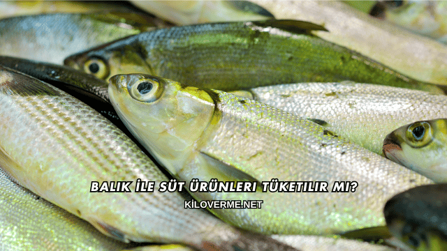 Balık İle Süt Ürünleri Tüketilir mi?