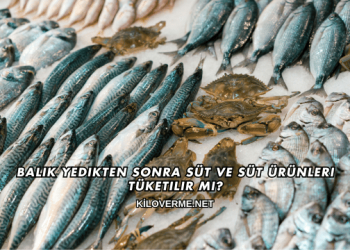 Balık Yedikten Sonra Süt ve Süt Ürünleri Tüketilir mi?