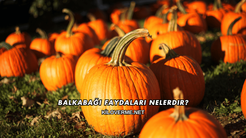 Balkabağı Faydaları Nelerdir?