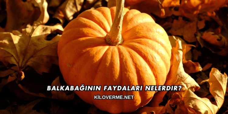 Balkabağının Faydaları Nelerdir?