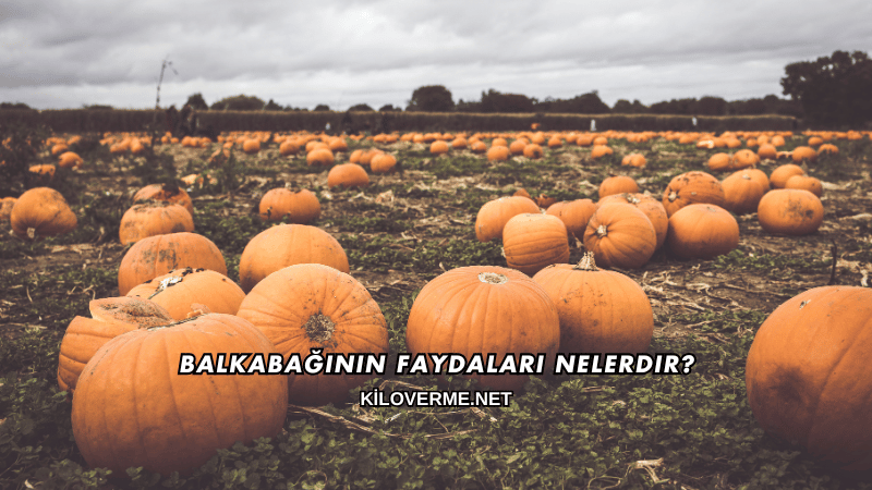 Balkabağının Faydaları Nelerdir?