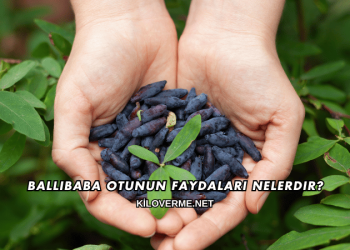 Ballıbaba Otunun Faydaları Nelerdir?