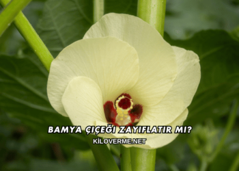 Bamya Çiçeği Zayıflatır mı?