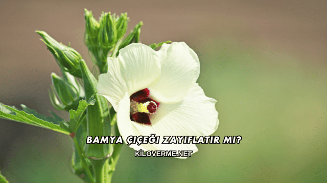 Bamya Çiçeği Zayıflatır mı?