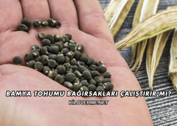Bamya Tohumu Bağırsakları Çalıştırır mı?