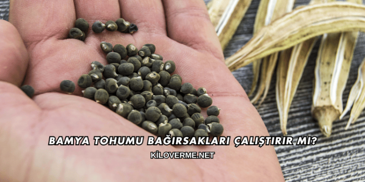 Bamya Tohumu Bağırsakları Çalıştırır mı?