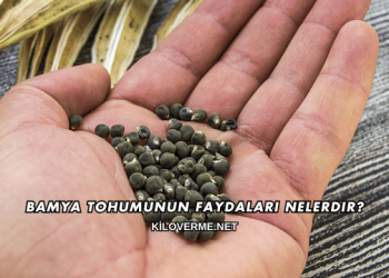Bamya Tohumunun Faydaları Nelerdir?