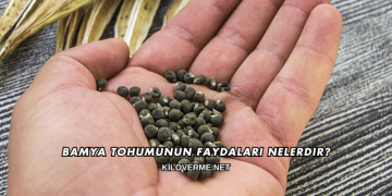 Bamya Tohumunun Faydaları Nelerdir?