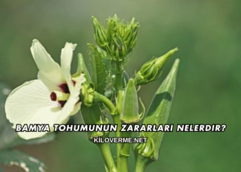 Bamya Tohumunun Zararları Nelerdir?