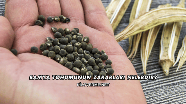 Bamya Tohumunun Zararları Nelerdir?