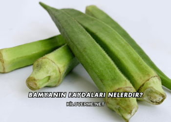 Bamyanın Faydaları Nelerdir?