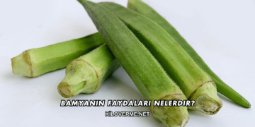 Bamyanın Faydaları Nelerdir?