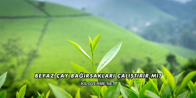 Beyaz Çay Bağırsakları Çalıştırır mı?