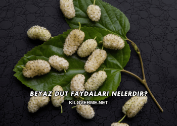 Beyaz Dut Faydaları Nelerdir?