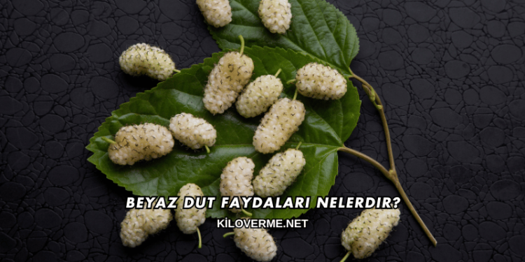 Beyaz Dut Faydaları Nelerdir?