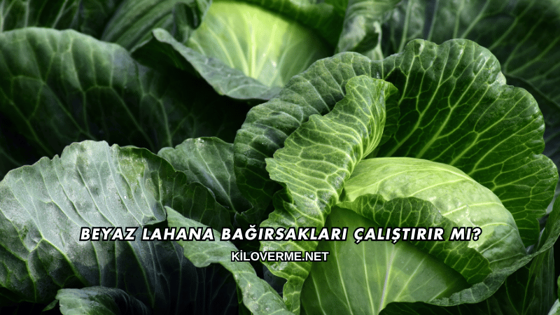 Beyaz Lahana Bağırsakları Çalıştırır mı?