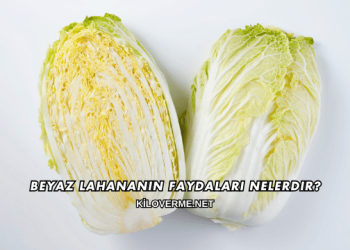 Beyaz Lahananın Faydaları Nelerdir?