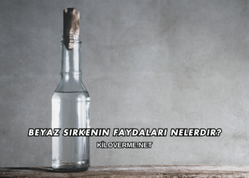 Beyaz Sirkenin Faydaları Nelerdir?