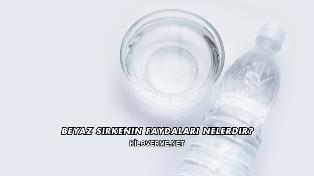 Beyaz Sirkenin Faydaları Nelerdir?
