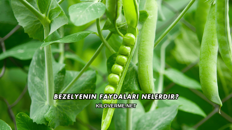 Bezelyenin Faydaları Nelerdir?