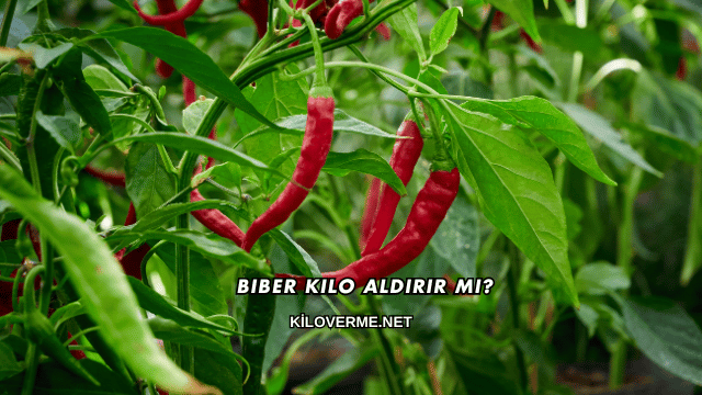 Biber Kilo Aldırır mı?
