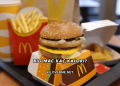 Big Mac Kaç Kalori?