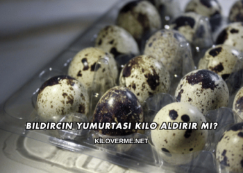 Bıldırcın Yumurtası Kilo Aldırır mı?