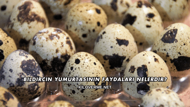 Bıldırcın Yumurtasının Faydaları Nelerdir?