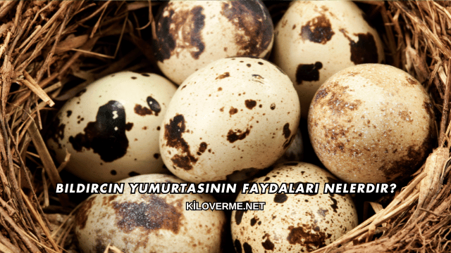 Bıldırcın Yumurtasının Faydaları Nelerdir?