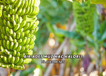 Bir Adet Muz Kaç Kalori?