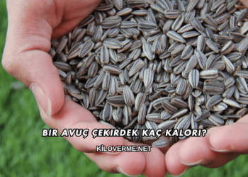 Bir Avuç Çekirdek Kaç Kalori?