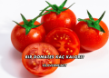 Bir Domates Kaç Kalori?