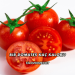 Bir Domates Kaç Kalori?
